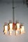 Mid-Century Italian Brass and Glass Chandelier, 1950s, Image 21