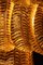 Lampadario lungo in vetro di Murano dorato, Immagine 2