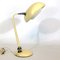 Mid-Century Lacquer and Chrome Articulated Desk Lamp from Stilnovo 1