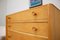 Mid-Century Tallboy Cupboard Chest from Austinsuite, 1960s, Image 7