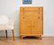 Mid-Century Tallboy Cupboard Chest from Austinsuite, 1960s, Image 1