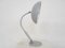 Model 144 Table or Desk Light by H. TH.A. Busquet for Hala, the Netherlands, 1960s 6