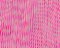 Mel Prest, Rosy Winds, 2021, Acryl und fluoreszierende Farbe auf Holzplatte 3