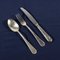 Silver Cutlery Set 5