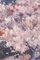 Josep Mas Pou, Mandelblüten Landschaft, Mitte 20. Jh., Öl auf Leinwand 7