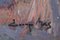 Josep Mas Pou, Mandelblüten Landschaft, Mitte 20. Jh., Öl auf Leinwand 10