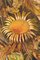 Stillleben mit Sonnenblumen und Majolika Krug, Mitte des 20. Jahrhunderts, Öl auf Leinwand 6