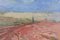 Josep Ma Pinto, Paesaggio con viti, metà XX secolo, olio su tavola, Immagine 4