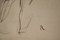 Life Drawings, Late 19th or Early 20th Century, Pencil & Ink on Paper, Set of 4, Image 7
