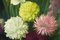 Radiant Flowers, Mid-20th Century, Oil on Canvas, Image 4