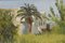 Impressionistische Szene mit Villa und Palmen, 20. Jh., Öl an Bord 6