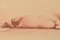 Jean Auguste Vyboud, Grabado desnudo, principios del siglo XX, tinta sobre papel, enmarcado, Imagen 3
