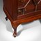 Antique English Victorian Glazed Specimen Tallboy Chest of Drawers 11