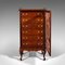 Antique English Victorian Glazed Specimen Tallboy Chest of Drawers 3