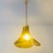 Murano Glass Flower Ceiling Lamp or Pendant by Carlo Nason for Kalmar Franken, Austria, 1960s 3