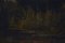 Paesaggio, Olio su Tavola, Incorniciato, Immagine 3