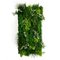 Modular Meleda Vertical Garden Wall Panel from VGnewtrend, Image 1