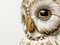 Vintage Italian Ceramic Owl Umbrella Stand 5