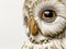 Vintage Italian Ceramic Owl Umbrella Stand, Image 5