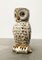 Vintage Italian Ceramic Owl Umbrella Stand 17
