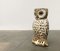 Vintage Italian Ceramic Owl Umbrella Stand 26