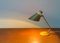 Lampe de Bureau Mid-Century 2