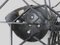 Schwarze Wanddekoration Spider aus Eisen, 1950er 18