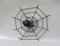 Black Iron Wall Decoration Spider, 1950s 6