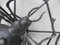 Black Iron Wall Decoration Spider, 1950s, Image 12