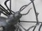 Schwarze Wanddekoration Spider aus Eisen, 1950er 12