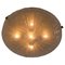 Riesige Deckenlampe aus Muranoglas & Messing von Hillebrand, 1960er 1