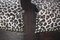 Sillas estilo renacentista antiguas de roble tallado con tapicería con estampado de leopardo, siglo XIX. Juego de 2, Imagen 13