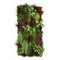 Modular Rata Wall Vertical Garden Panel from VGnewtrend, Image 1