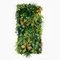 Modular Hana Wall Vertical Garden Panel from VGnewtrend 1