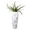 Italian Ceramic Obice David Ears Vase with Aloe from VGnewtrend 1