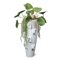 Italian Ceramic Obice David Ears Vase with Lotus Sedum from VGnewtrend 1