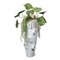 Vaso Obice David Ears in ceramica con Lotus Sedum di VGnewtrend, Immagine 1