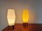 Table Lamps with Extra Shade, 1950s, Set of 3 7