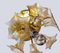 Amber Murano Glass and Brass Sputnik Flower Flush Mount from Sische, 1960s 7
