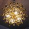 German Murano Glass and Brass Tear Drop Chandelier from Palwa, 1970 4