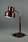 Vintage Bumling Desk Lamp by Anders Pehrson for Ateljé Lyktan, Sweden 1