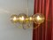 Italian Brass Ceiling Light with 6 Smoked Glass Globes, 1960s 2