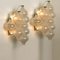 Large Tulipan Wall Lamps or Sconces by J.T. Kalmar, 1960s, Image 7