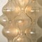 Large Tulipan Wall Lamps or Sconces by J.T. Kalmar, 1960s, Image 3