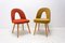 Mid-Century Dining Chairs by Antonin Suman, Set of 2, Image 2