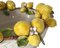 Large Centerpiece with Lemons in Ceramic by Ceramiche Ceccarelli 2