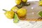 Korb mit kleinen Zitronen aus Keramik von Ceramiche Ceccarelli 2