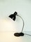 Bauhaus Style Zirax Desk Lamp by Dr. Ing. Schneider & Co, 1920s or 1930s 4