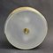 Mid-Century French Ceiling or Wall Lamp from Arlus, Image 16