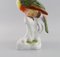 Large Antique Hand-Painted Porcelain Toucan Figure by Paul Walther for Meissen 7